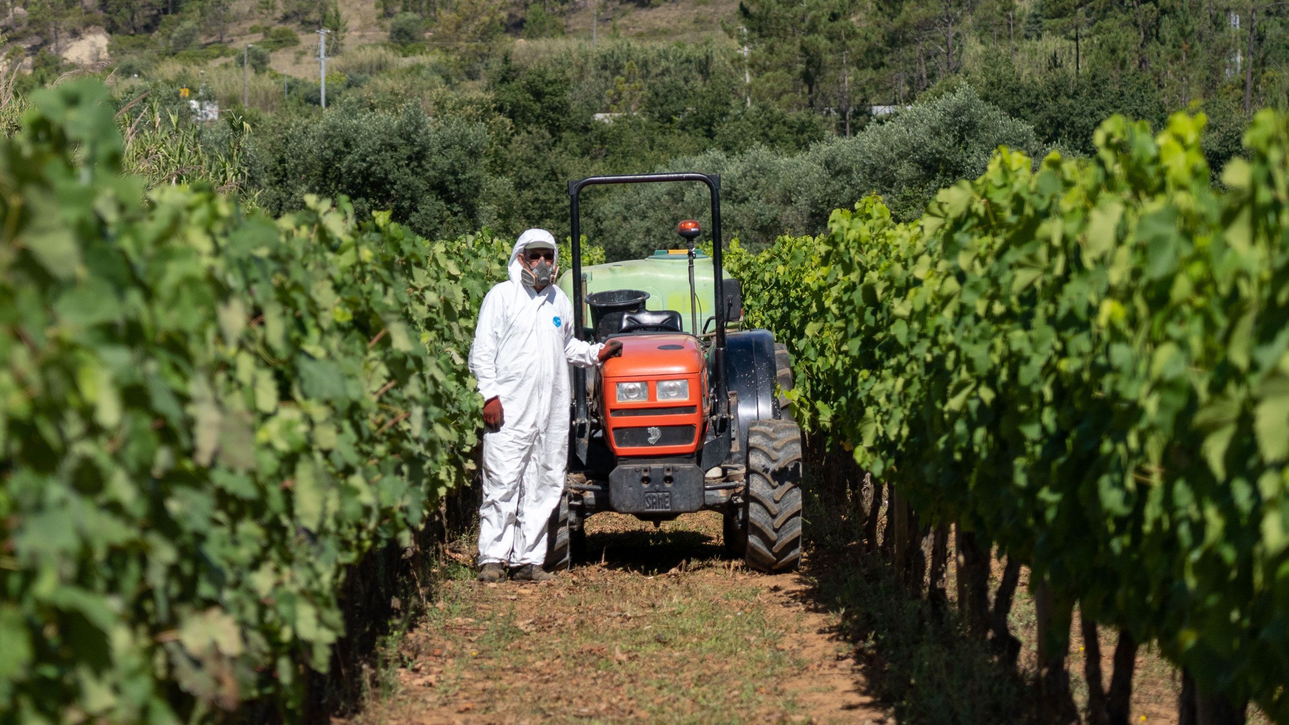 Men and tractor in field