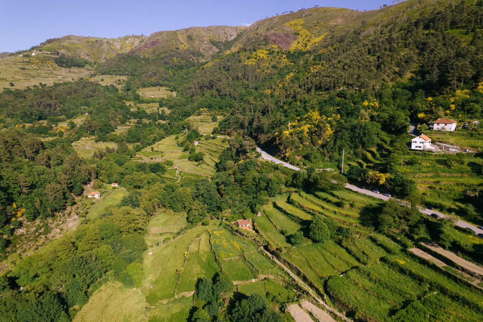 Green land and sky