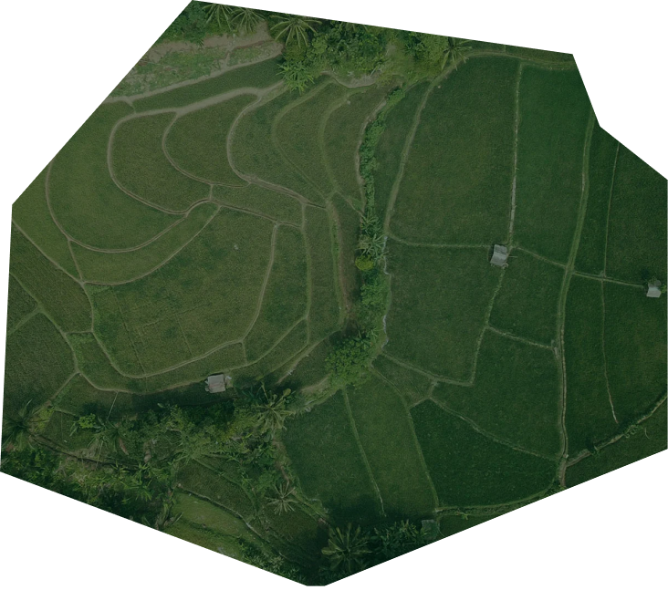 Vista aérea de terrenos ordenados
