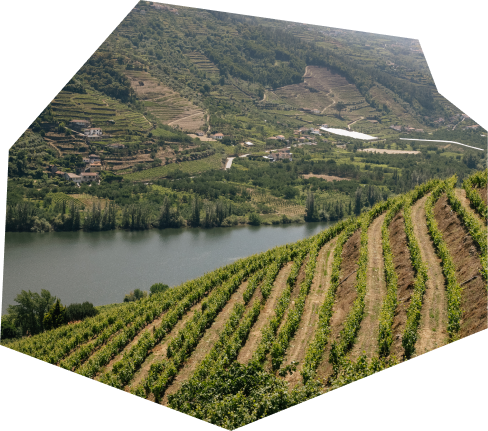 Paisagem do Douro com vista rio